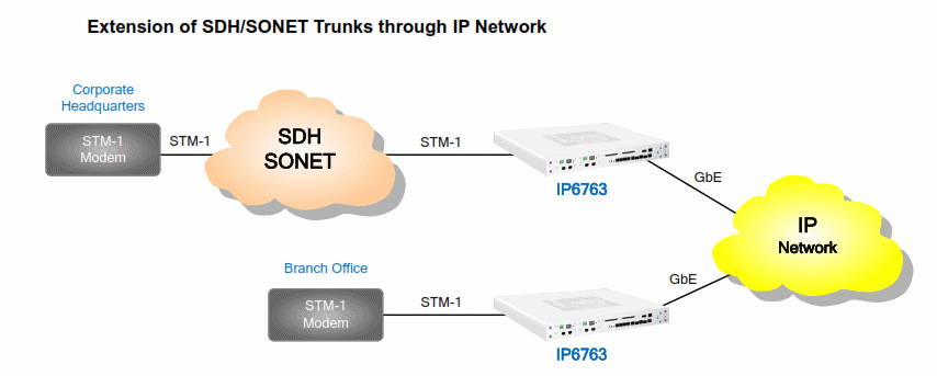 Extension of SONET/SDH via an IP Network